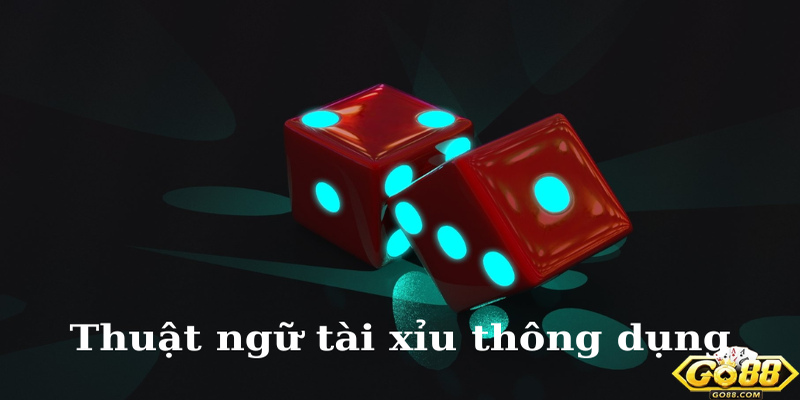 Một số thuật ngữ khi chơi tài xỉu tại Go88